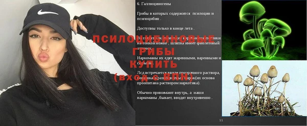 Альфа ПВП Краснослободск