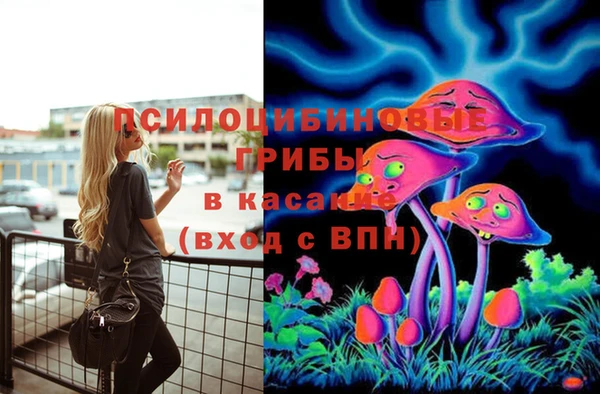 Альфа ПВП Краснослободск