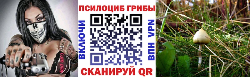 Псилоцибиновые грибы мицелий  Купить  Киреевск 